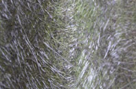 Shipley Gate fibreglass roof work